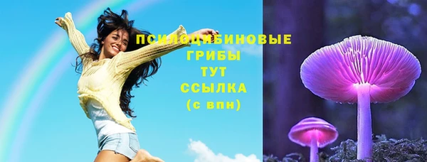 винт Баксан