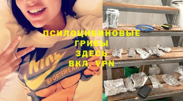 винт Баксан