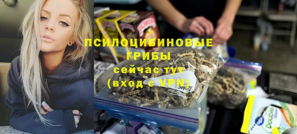 винт Баксан