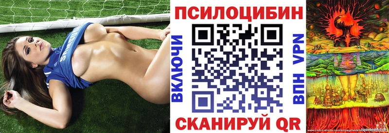 Галлюциногенные грибы Psilocybe Великие Луки